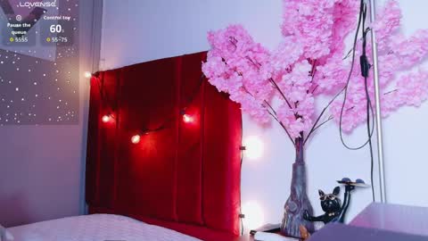 CATALEYA  online show from April 2026 07:33:02 PM