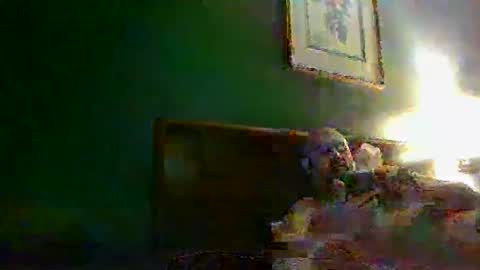 TheGoldenStroker222 online show from December 2025 11:28:01 AM