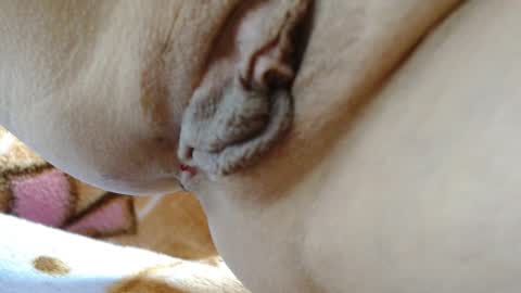 ANNYANNY online show from March 2026 03:40:01 PM