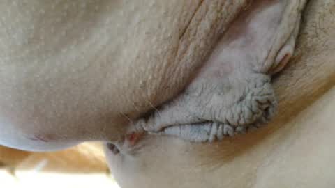 ANNYANNY online show from March 2026 05:51:02 PM