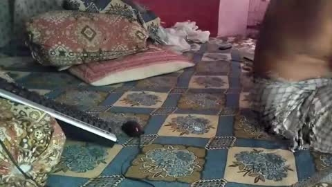 Stormydick online show from July 2026 10:33:01 AM