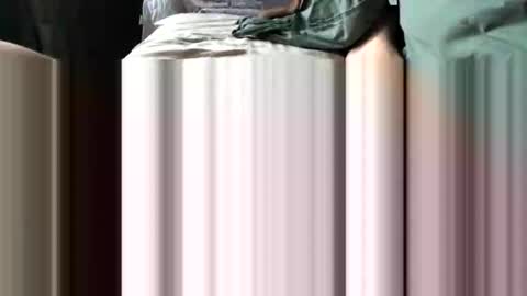 challe online show from December 2025 09:51:01 AM