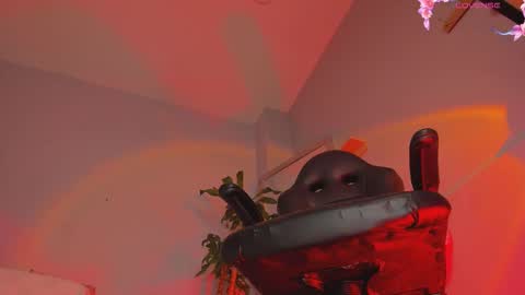 charlotte  grey online show from March 2026 05:39:02 PM