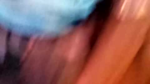 chazo4uncutcocks online show from January 2025 10:42:01 PM