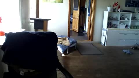 chefben666 online show from April 2026 09:25:02 AM