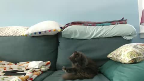 Chelsea online show from January 2025 05:46:01 PM