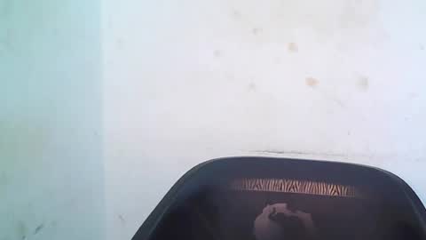 cherryxpussy online show from May 2026 09:15:01 AM