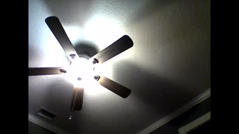 CHINO online show from April 2026 12:44:02 AM