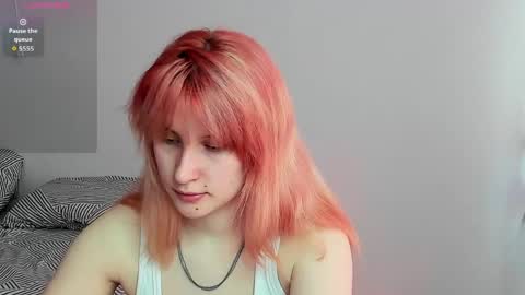 choco_meowx online show from May 2026 08:41:01 AM