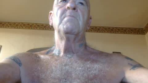 Pizza online show from July 2026 10:00:02 AM