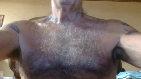 Pizza online show from July 2026 07:13:01 AM
