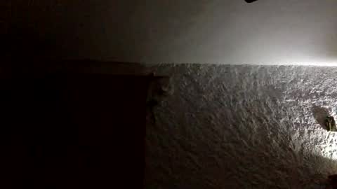 claudi779 online show from January 2026 08:03:01 PM