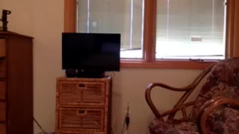 Code By Nova online show from November 2025 07:56:02 PM