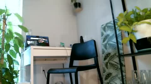 Noni online show from February 2025 05:37:02 PM