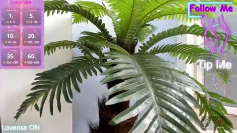 Snapshot of crazy_muscle chatting on November 2025 05:28:02 AM tattoodoll online show from November 2025 05:28:02 AM