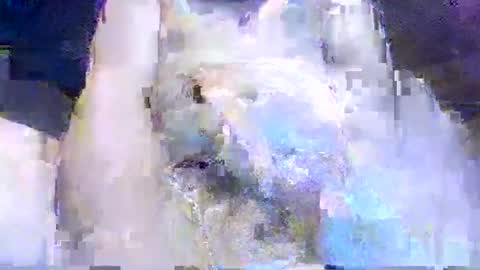 crazydog3690 online show from March 2026 01:34:02 AM