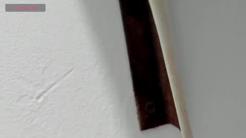 criistal_castro online show from April 2026 11:33:02 AM