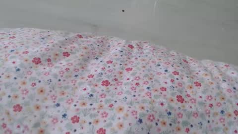 cristiyna36 online show from March 2026 12:11:01 PM