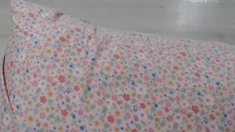 cristyna361 online show from July 2026 05:17:02 PM