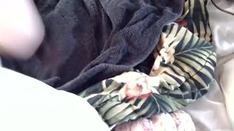 Crucifux online show from January 2025 08:31:02 PM