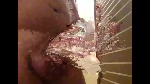 Snapshot of csunny37 chatting on January 2026 11:36:02 AM csunny37 online show from January 2026 11:36:02 AM