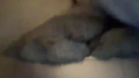 cuckgriff23 online show from April 2026 02:49:02 AM