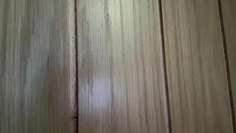 cum_nicky online show from April 2026 10:25:01 AM