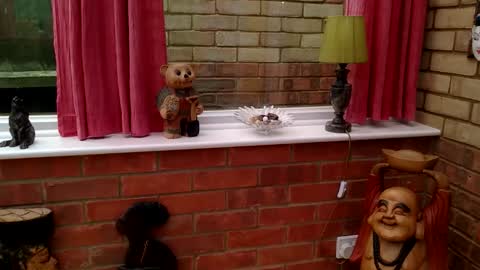 cumonherguys online show from June 2026 01:50:02 PM