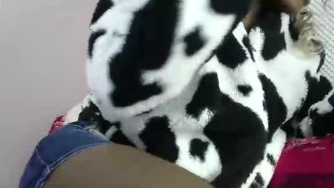 cutezola online show from March 2026 08:26:33 AM