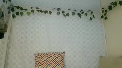 Liqy online show from June 2026 07:31:01 AM
