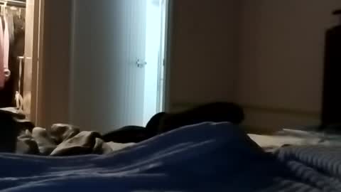 Kasey Xdresser online show from May 2026 12:00:02 PM