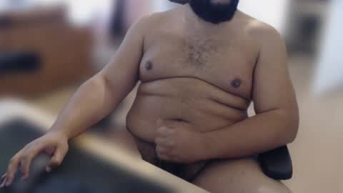 Daddy Bear  Papa Ours online show from April 2026 10:09:02 AM