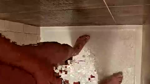 LetsHaveFunTogether online show from October 2025 07:10:02 AM