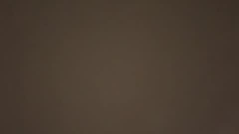 Snapshot of daddydom0000 chatting on January 2026 07:50:01 PM Daddy online show from January 2026 07:50:01 PM