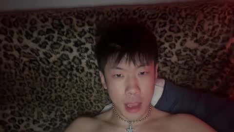 daggerpapi online show from May 2026 09:26:02 AM