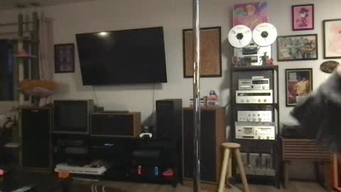 Snapshot of daisymynx chatting on April 2026 03:15:02 AM daisymynx online show from April 2026 03:15:02 AM