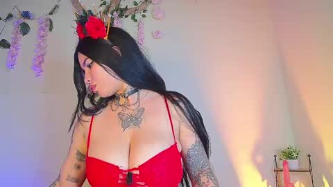 dakota carsson online show from April 2026 02:55:01 AM