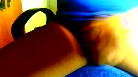 Dammerl online show from November 2025 10:59:02 AM