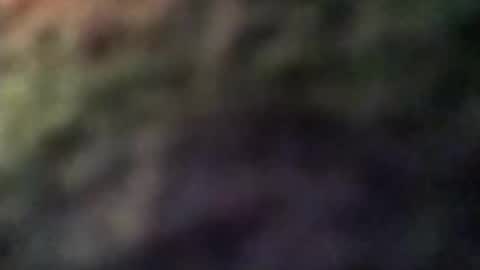 dannowisc online show from April 2026 02:55:01 AM