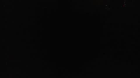 Danielle online show from February 2026 11:31:02 AM