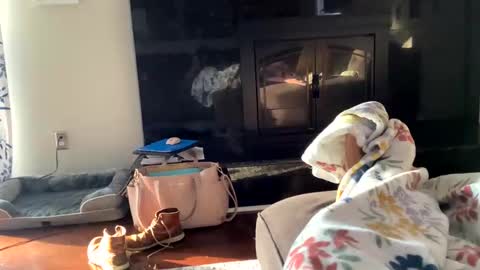 dannyboy621 online show from November 2025 01:24:01 PM