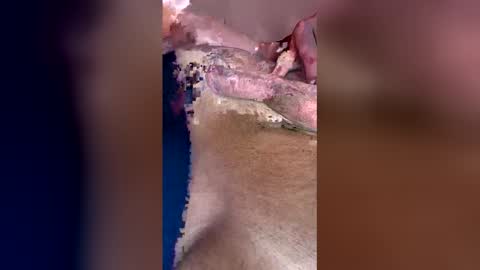 darklight69s25 online show from April 2026 03:28:01 PM