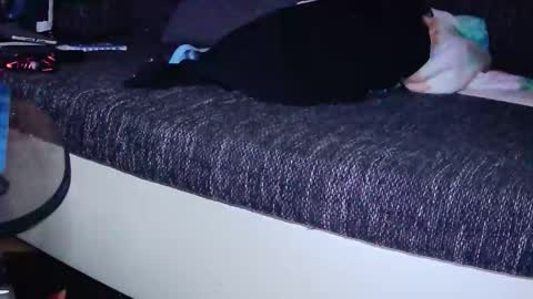 darkm90 online show from November 2025 05:47:02 PM