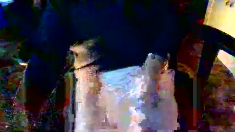 Snapshot of davidneedmore chatting on March 2026 02:34:01 PM davidneedmore online show from March 2026 02:34:01 PM