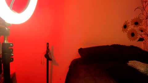 Snapshot of dear_venus chatting on December 2024 02:31:02 AM venus adam online show from December 2024 02:31:02 AM