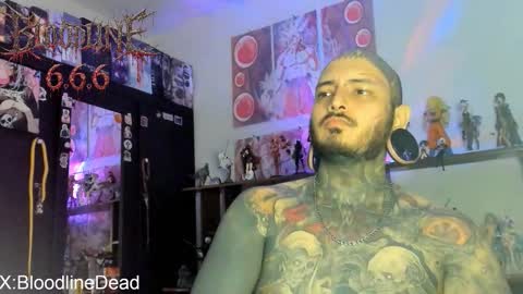    online show from February 2026 06:47:02 PM