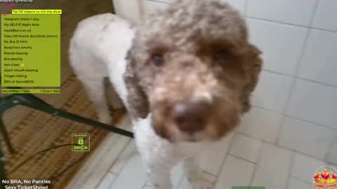 Yana online show from April 2026 05:30:02 PM