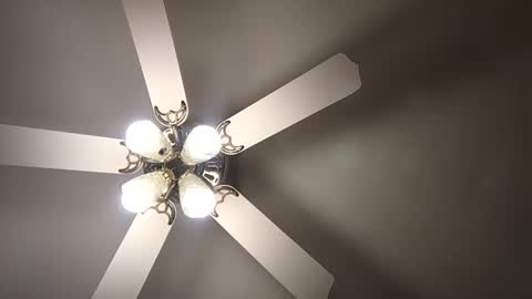 diamonde_steele online show from December 2024 01:53:02 AM