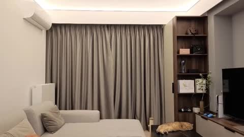 Iris online show from December 2025 09:09:01 PM