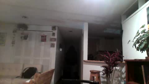 diego_incubo_ii online show from August 2026 08:35:02 AM